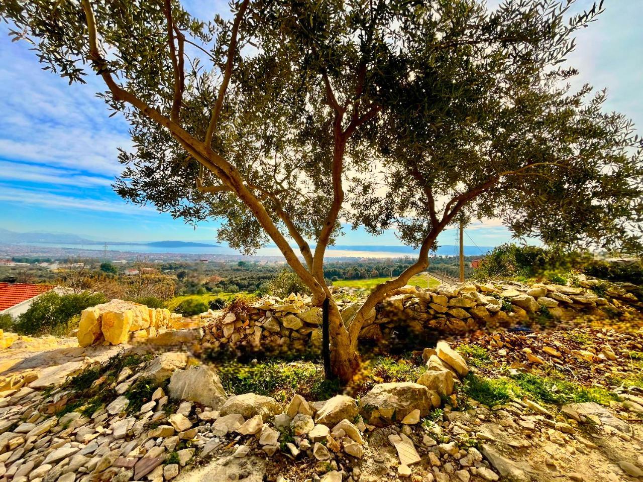 Kaštel Novi Villa Bepina, Surrounded By Sea, Olive, Vineyard מראה חיצוני תמונה