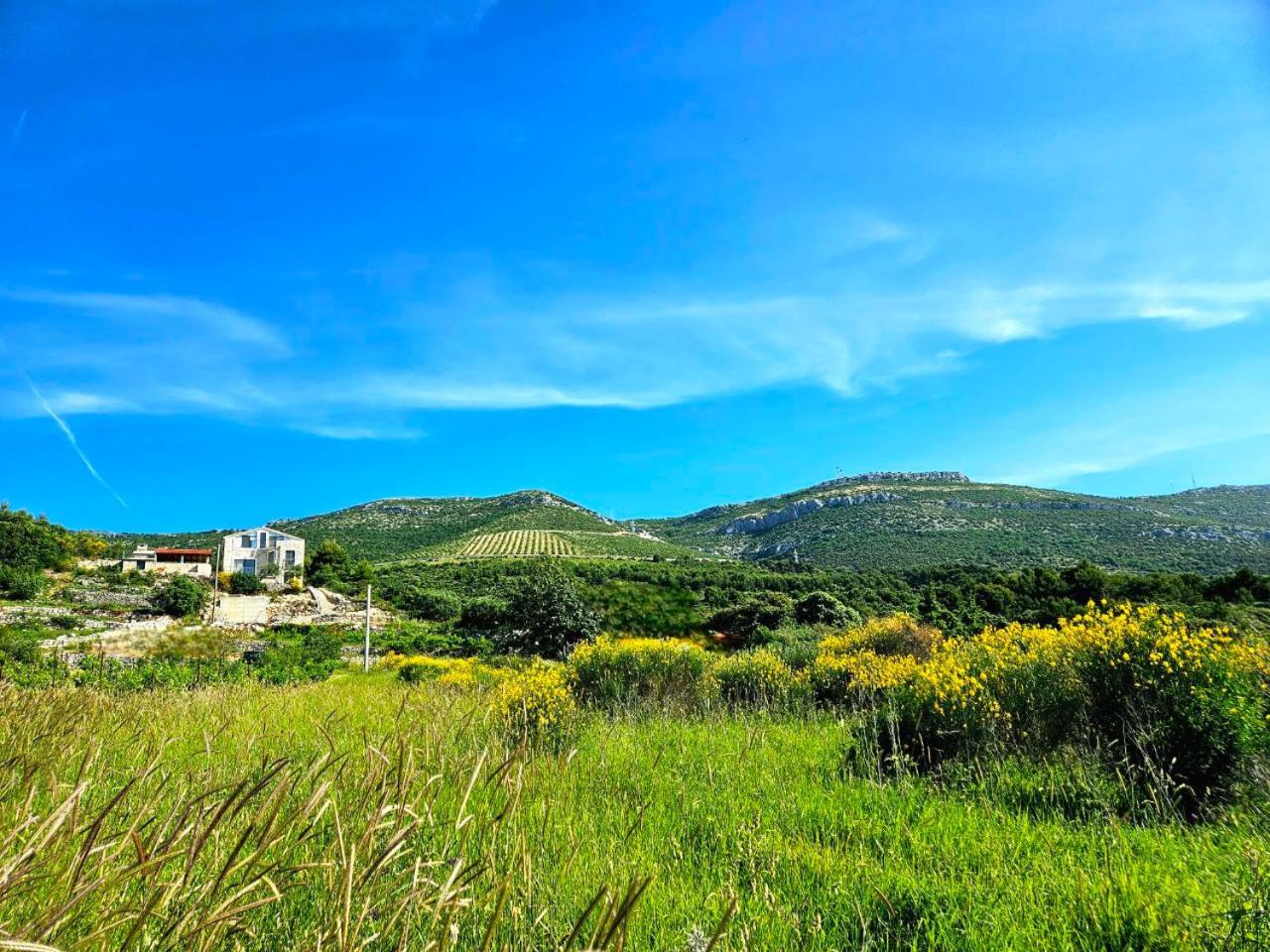Kaštel Novi Villa Bepina, Surrounded By Sea, Olive, Vineyard מראה חיצוני תמונה
