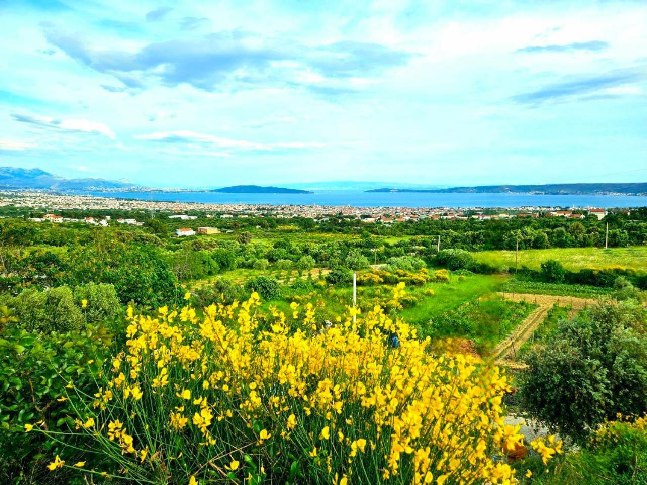 Kaštel Novi Villa Bepina, Surrounded By Sea, Olive, Vineyard מראה חיצוני תמונה